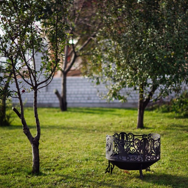 Чаша костровая "Лев"