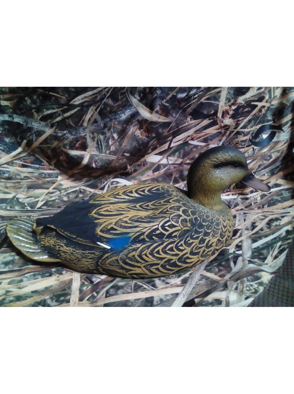 Чучело утка "Кряква"
